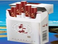 集成灶走外烟道